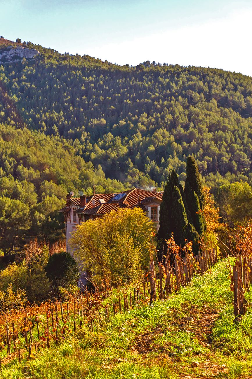 Tour Gastronomique et Oenologique Provence